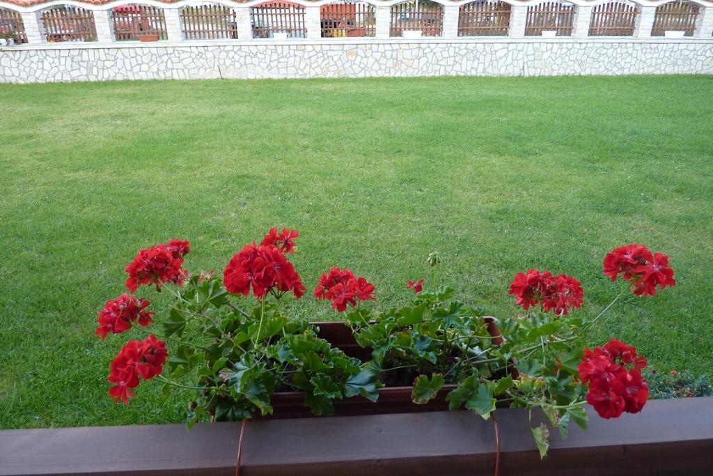 Guest House H Dzhogolanov Kopriwsztica Zewnętrze zdjęcie